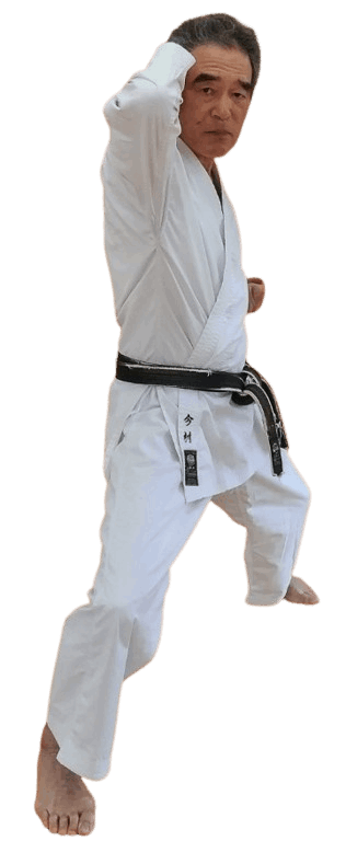 Imamura  Sensei